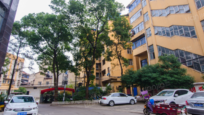 义勇路100号外景图