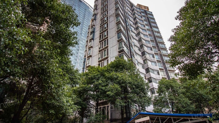 光谷中心花园外景图