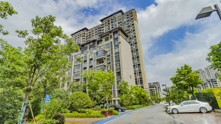 风荷泊园外景图