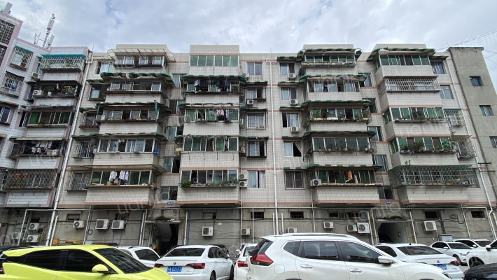 藏卫路南一段9号外景图