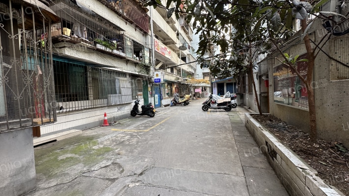 白沙南巷7号外景图