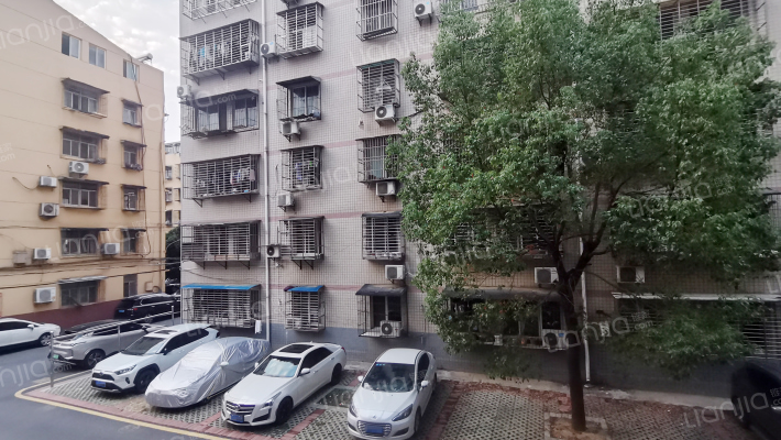 农业局家属区外景图