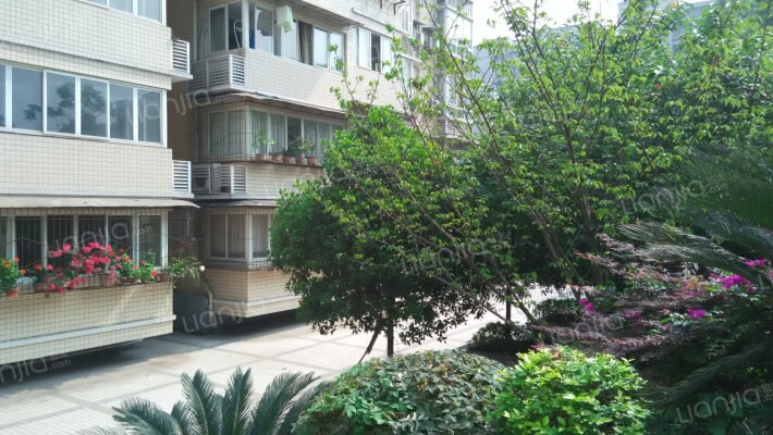 杏林花园外景图