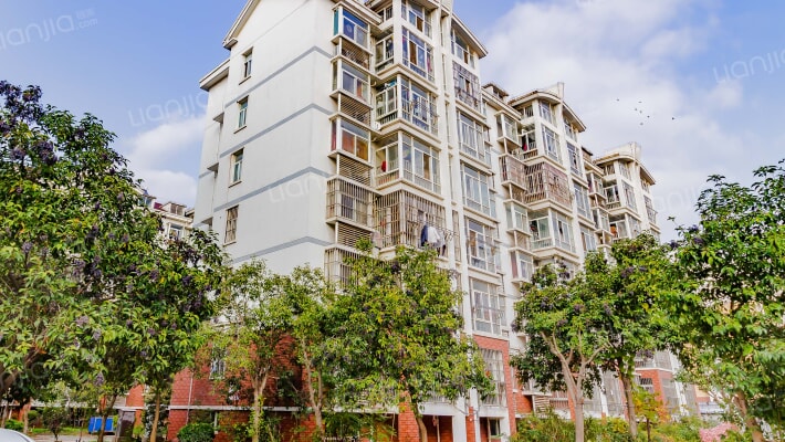 御花园B区外景图