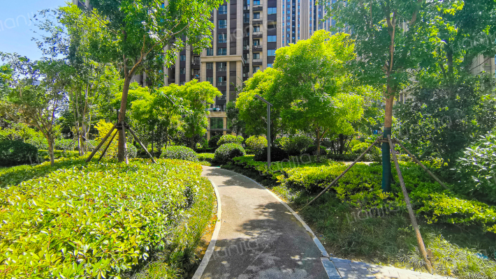 金尊文苑外景图