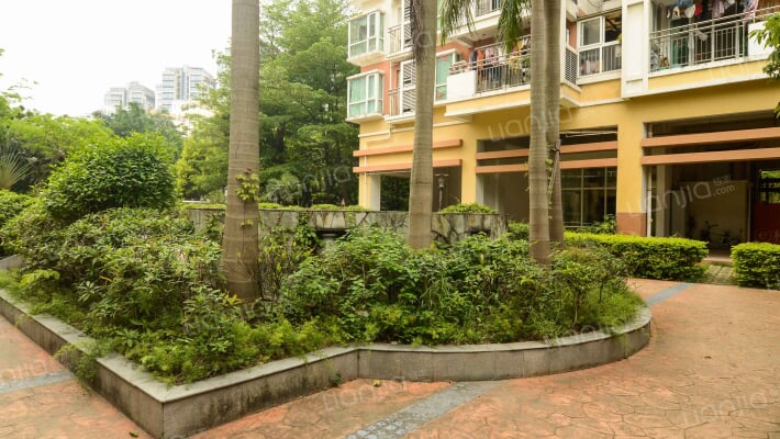 郁金香家园外景图