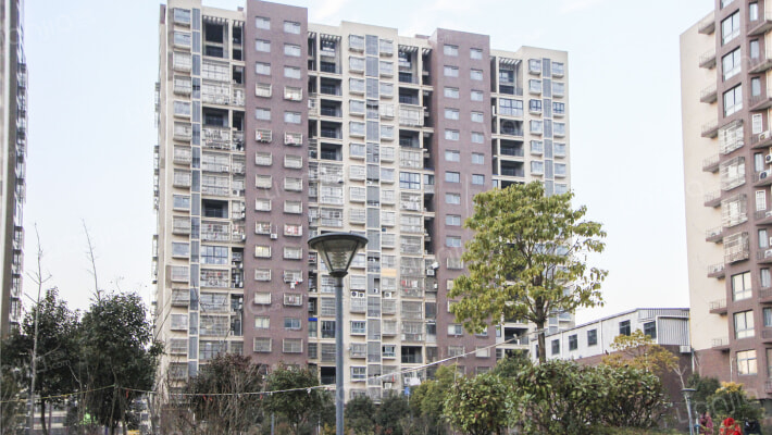 金汇龙湖外景图