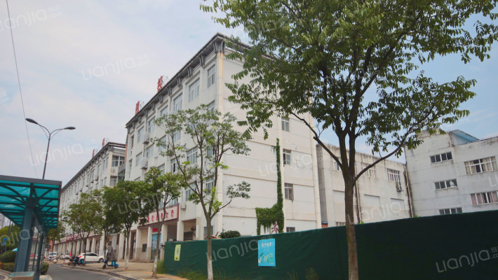 金通路109号外景图