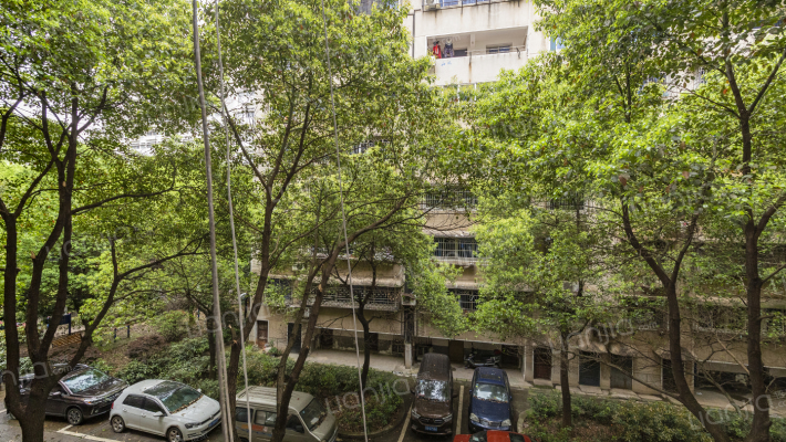 卫技新村二村外景图