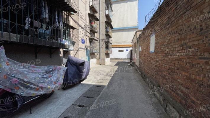 白马井路外景图