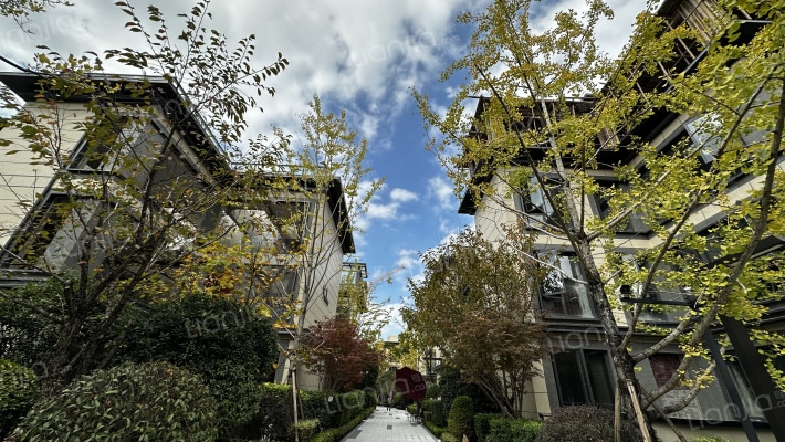 龙湖湖山原著湖酩外景图