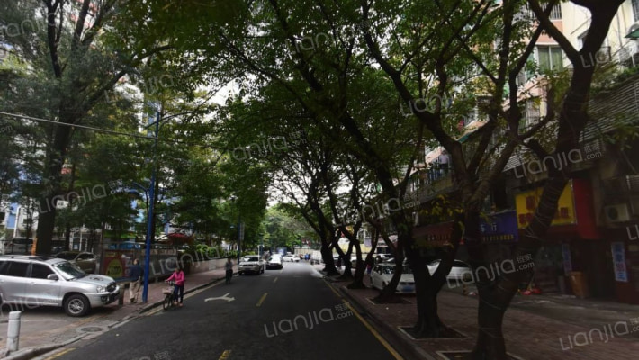 燕子岗路外景图