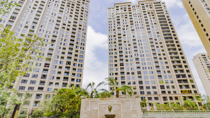 华鸿中央墅外景图