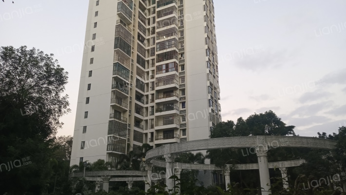 都市森林外景图