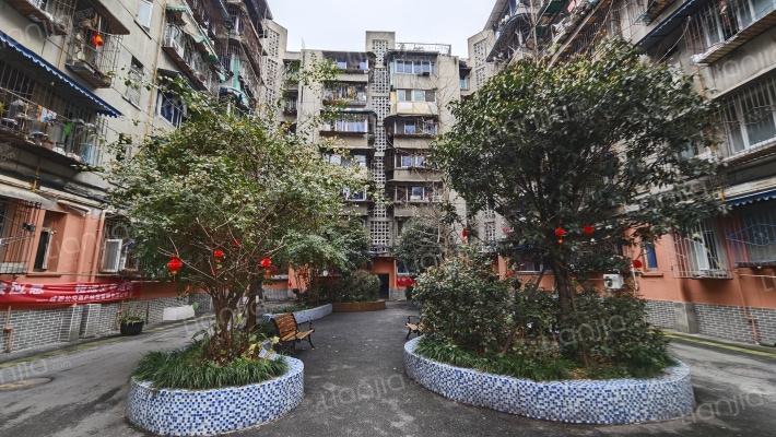 积步东巷42号外景图