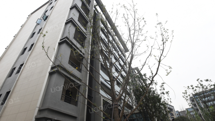 龙湖九里晴川二期外景图