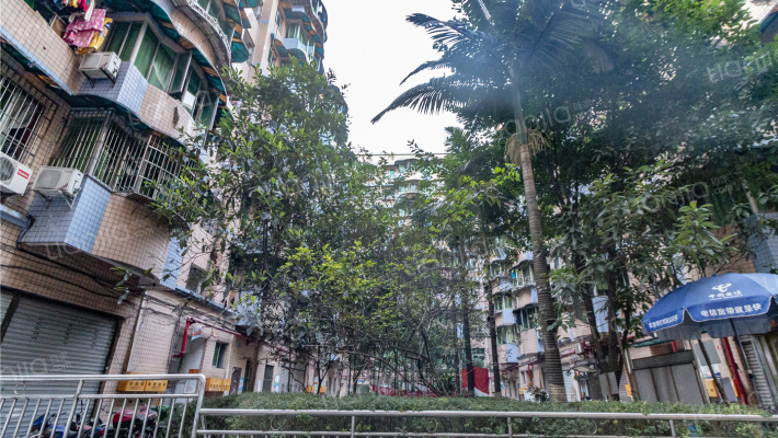 联芳花园三期外景图