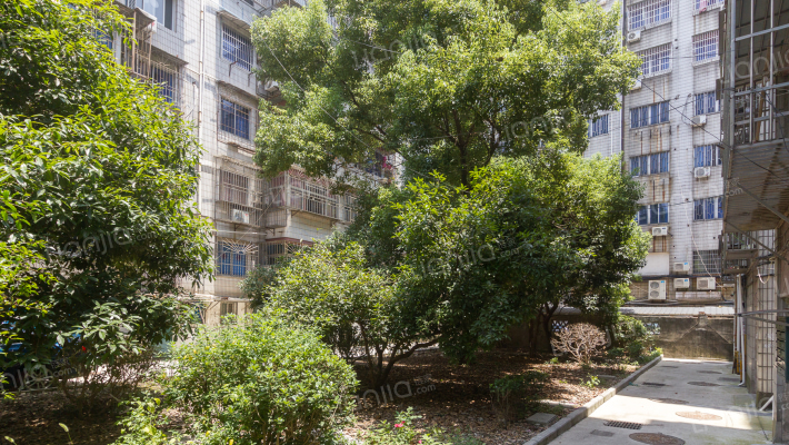 绿洲新村外景图