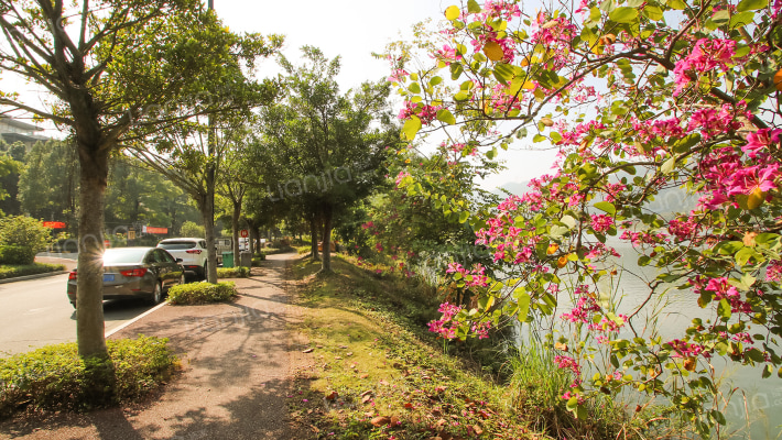 长堤半岛外景图