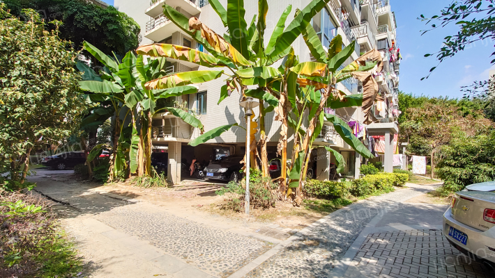 鼓楼庭院外景图