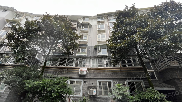 金羊新苑外景图