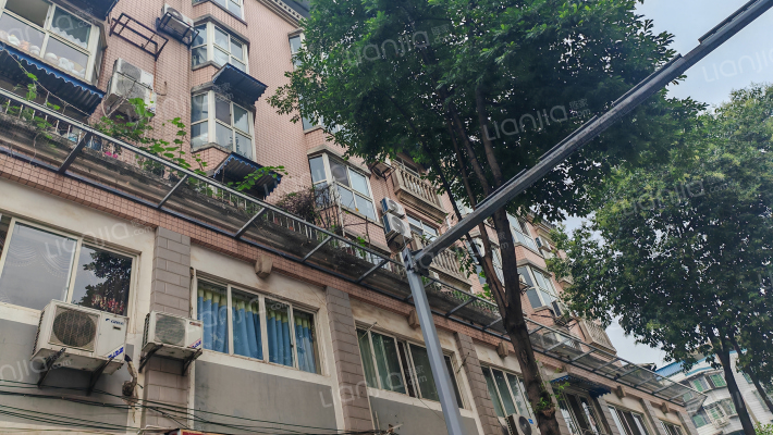 广场路20号外景图