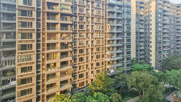 顺德华侨城天鹅湖外景图