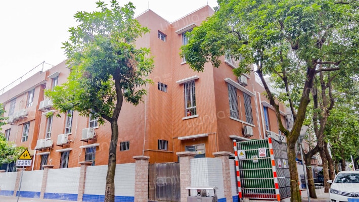 田洋十二巷外景图