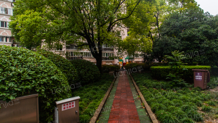 东方龙苑外景图