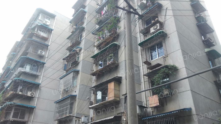 金沙路117号外景图