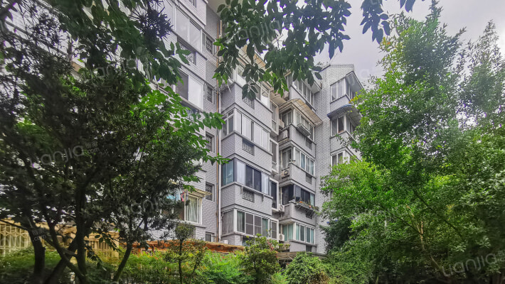 锦西民园外景图