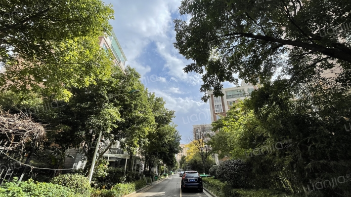 东泰花园二区外景图