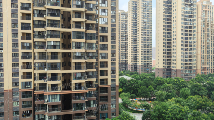 清能清江锦城珂园外景图