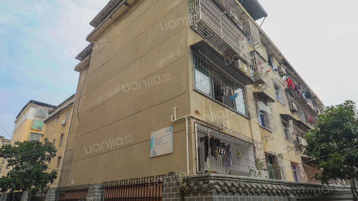 老县委宿舍外景图