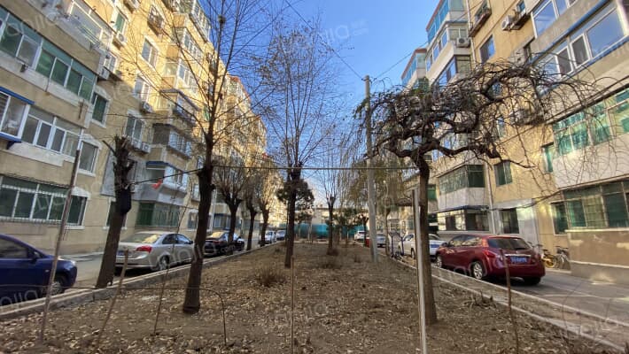 孔雀花园外景图