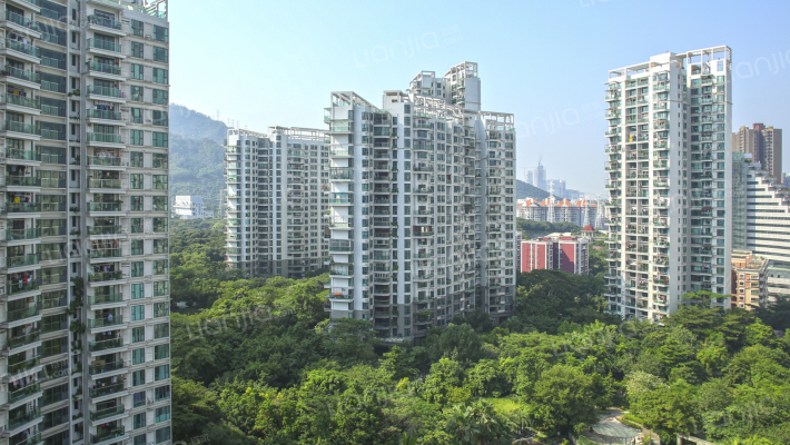 城市山林外景图