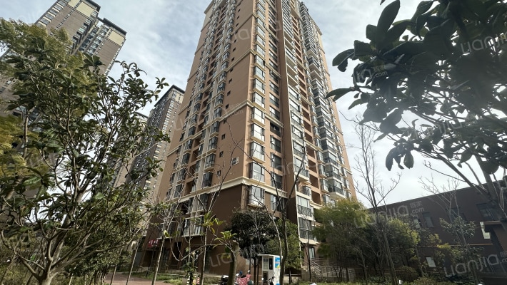 雨花国际外景图