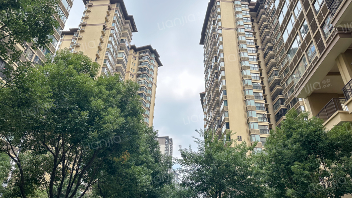 龙光玖誉湖御湖外景图