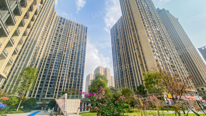 金科天宸10街区外景图