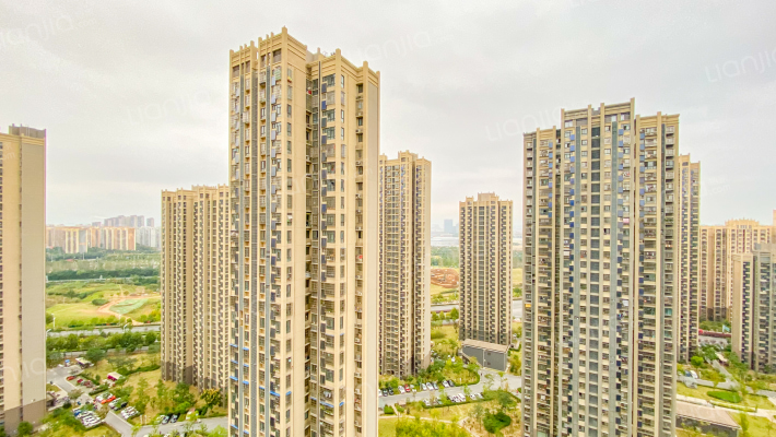 滨湖菊园外景图