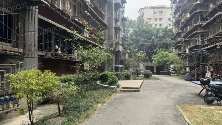 观音阁前街4号外景图