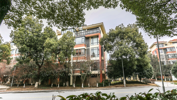 金鸡湖花园外景图