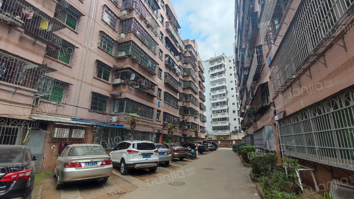 公路局坡博路11号宿舍小区外景图