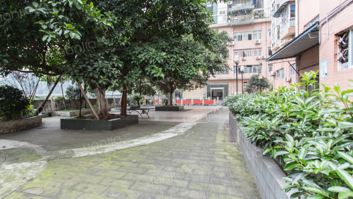 东方雅园外景图