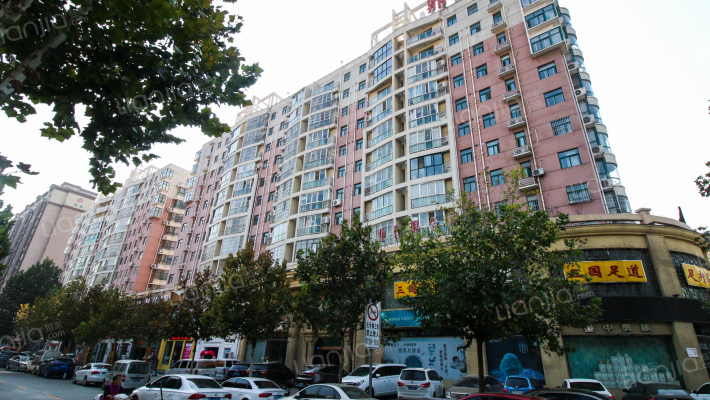 鼎鑫丽都苑南区外景图