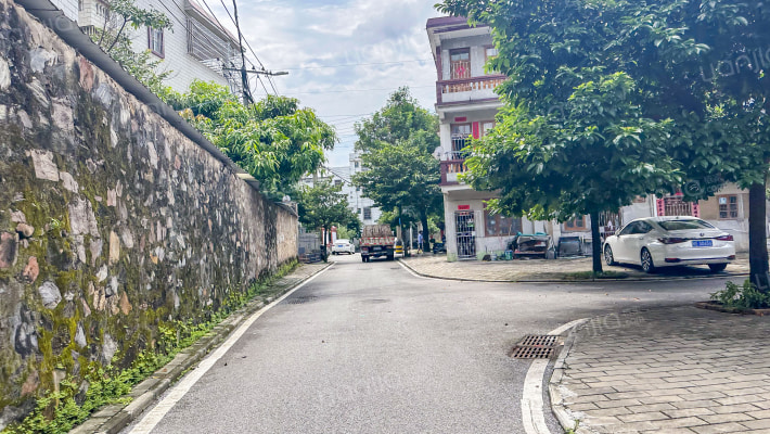 独树根路外景图