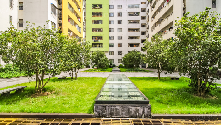 阳光100-S公寓外景图