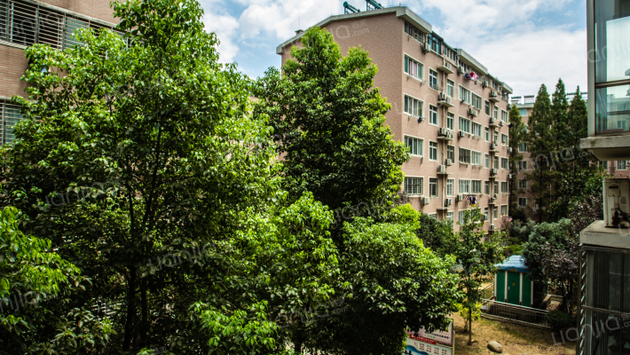 盛世龙城外景图