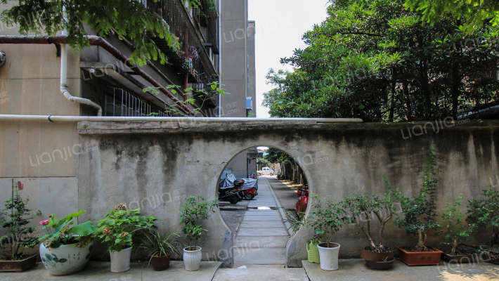 市教育局家属院外景图