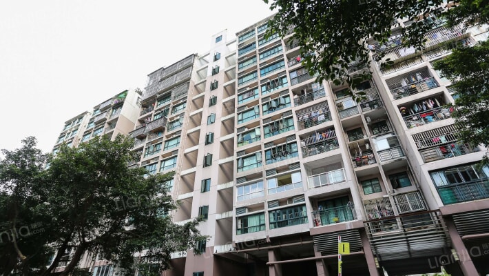 东部翠海轩外景图